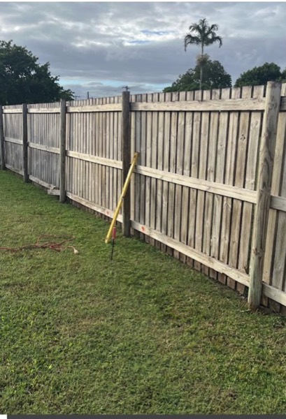 A timber paling fence with a palm tree behind it