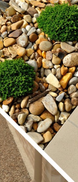 A pebbled garden bed with shaped shrubs beside a paved path