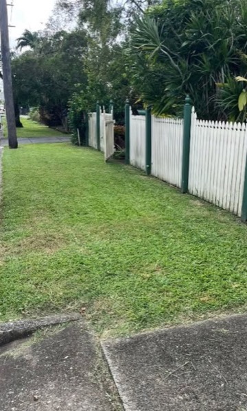 A mown verge beside a white picket fence and tropical trees